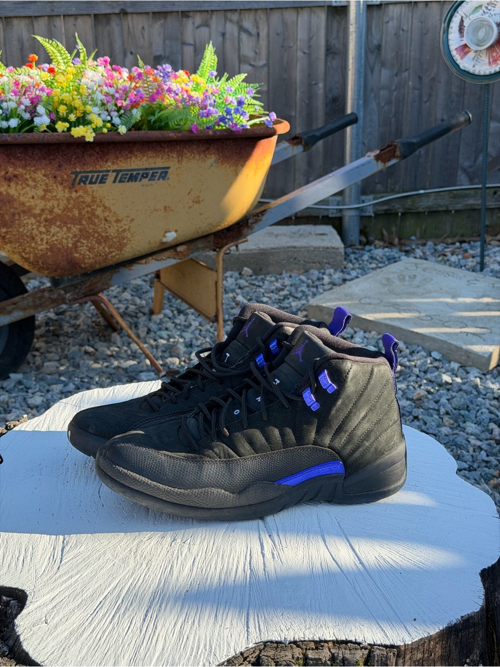 Jordan 12 Dark Concord